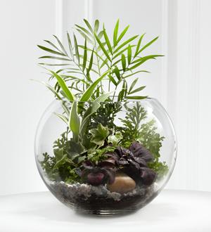 The FTD® Woodland Greens™ Terrarium