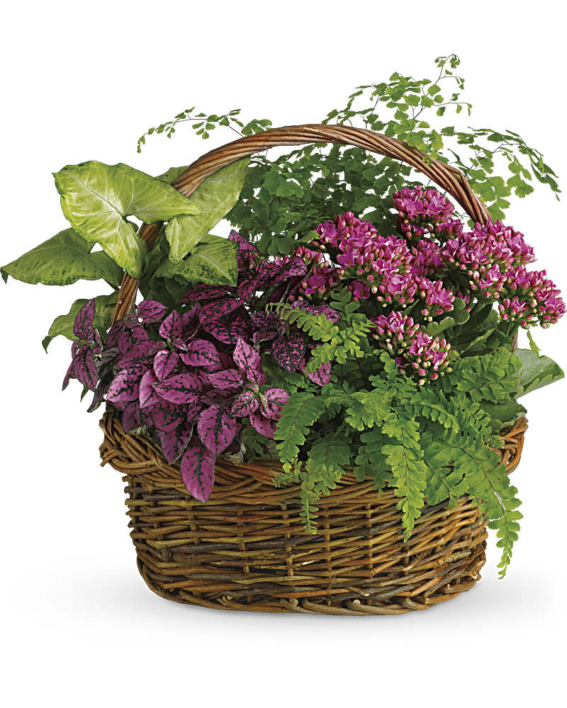 Secret Garden Basket