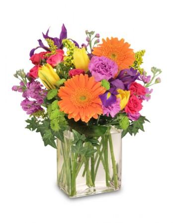 Celebrate Today! Bouquet Flower Delivery Gaylord MI - Rosemary & Pepper Flower Co