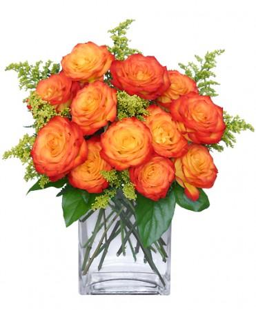 Fiery Love Vase Roses